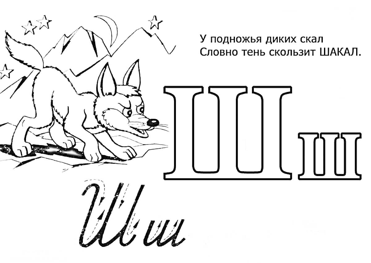Раскраска Буква Ш — Шакал у подножья диких скал