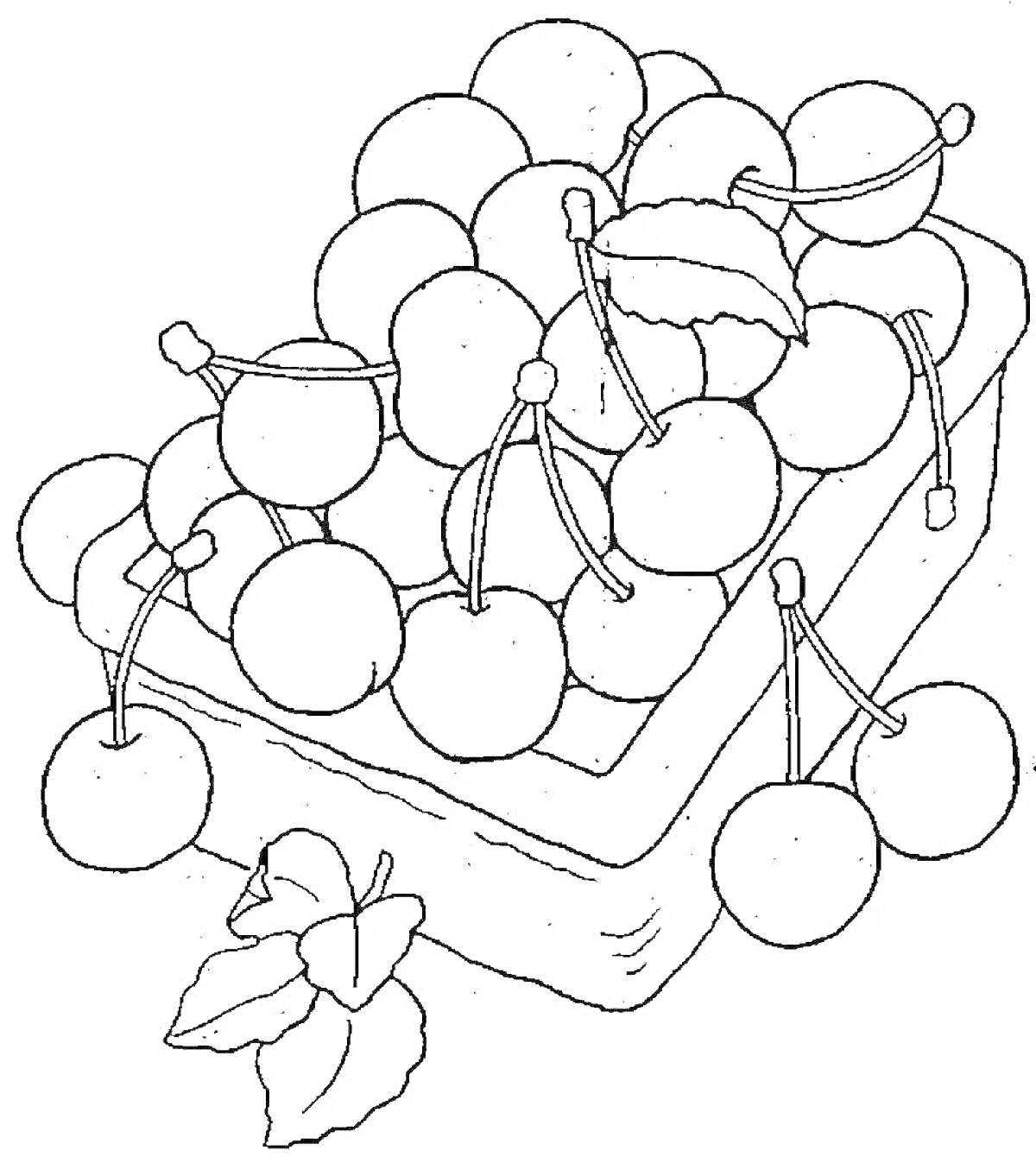 Раскраска Корзинка с черешней и листья