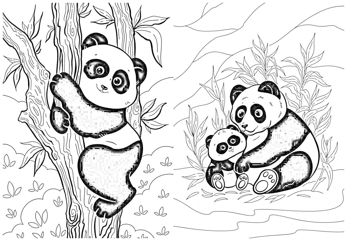 Раскраска Панда на дереве и две панды среди растений