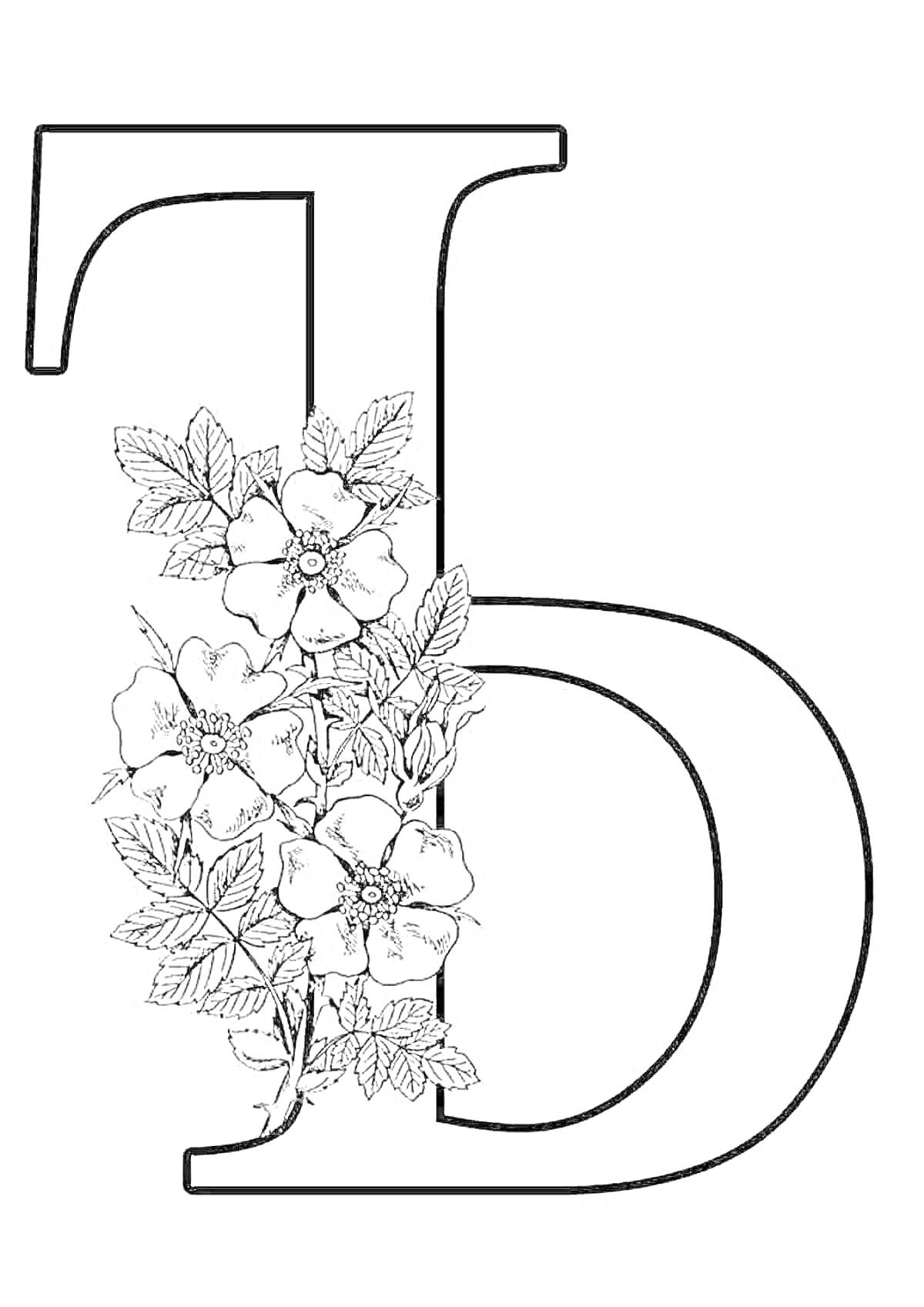 На раскраске изображено: Буква Б, Цветы, Листья, Оформление