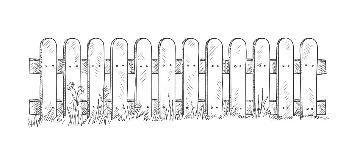 Раскраска Деревянный забор с травой и цветами
