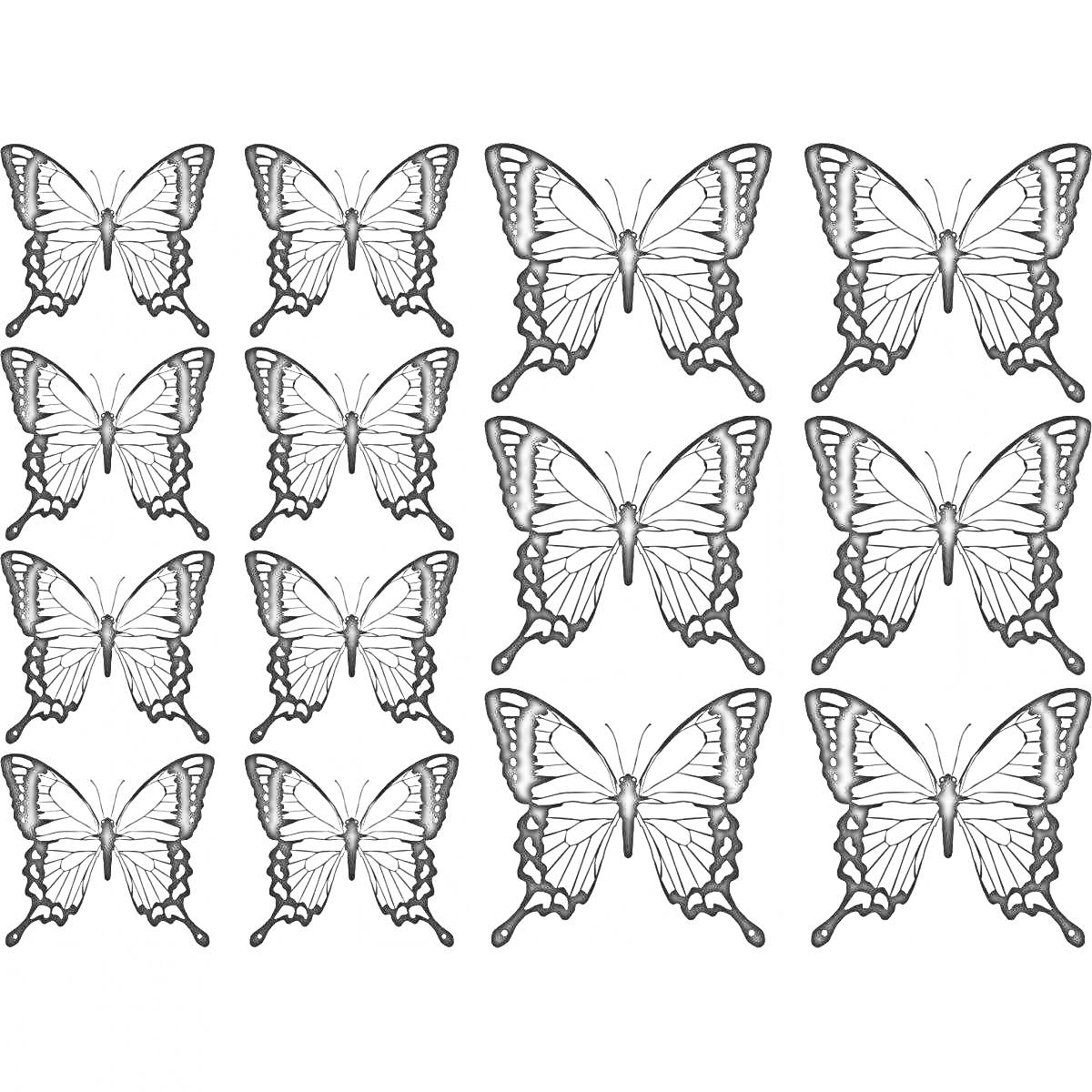 Раскраска маленькие бабочки, много, раскраска, шесть рядов по три бабочки, черно-белые