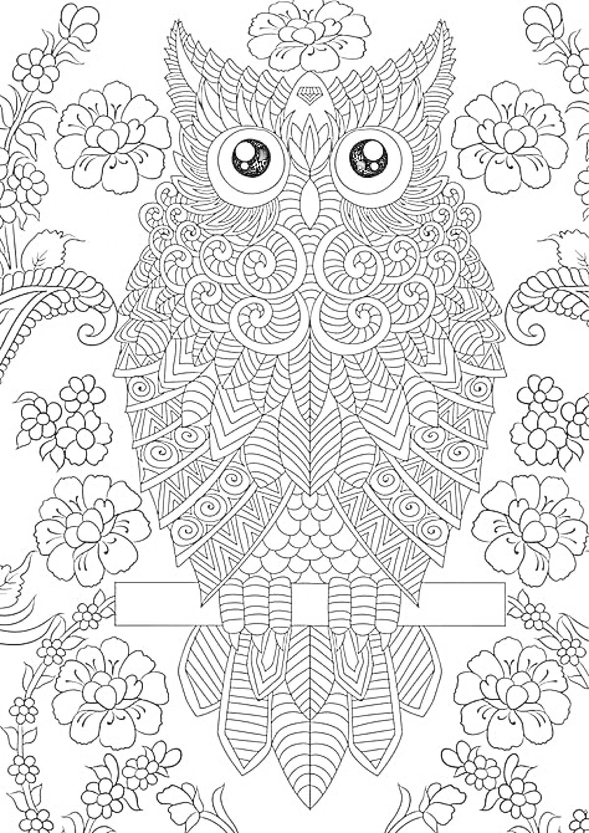 Раскраска Антистресс раскраска: сова с узорами в окружении цветов