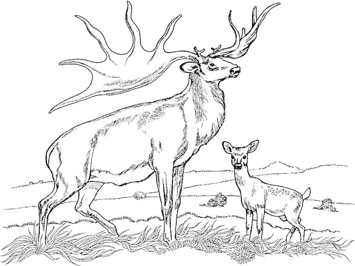Раскраска Лось с детёнышем на фоне природы, луг с кустами и холмами