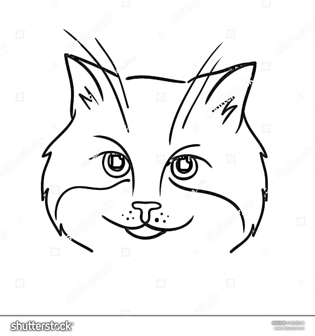 Картинка головы кота