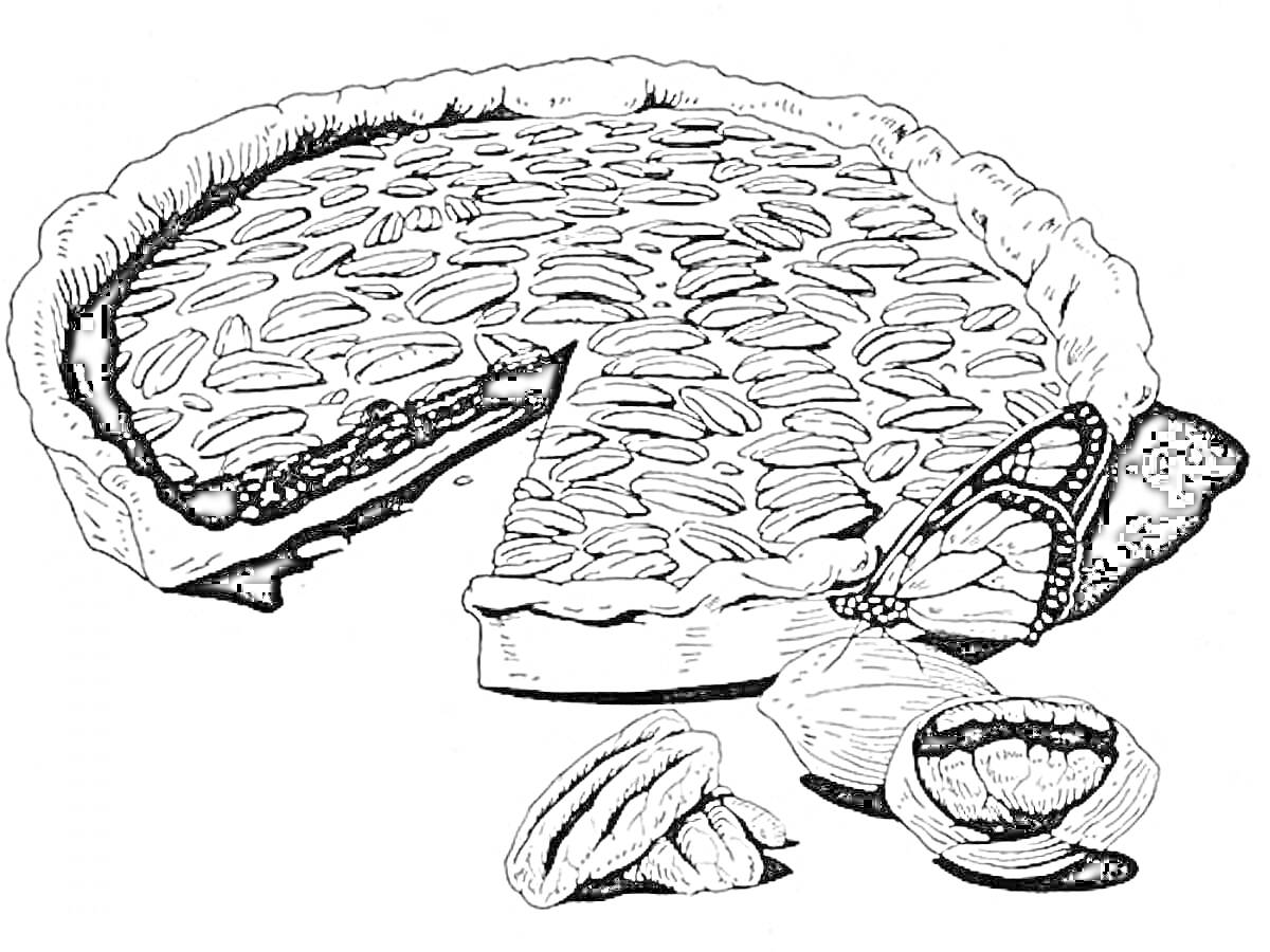 Раскраска Пирог с яблочной начинкой, кусочек пирога, орехи, половинки орехов, бабочка