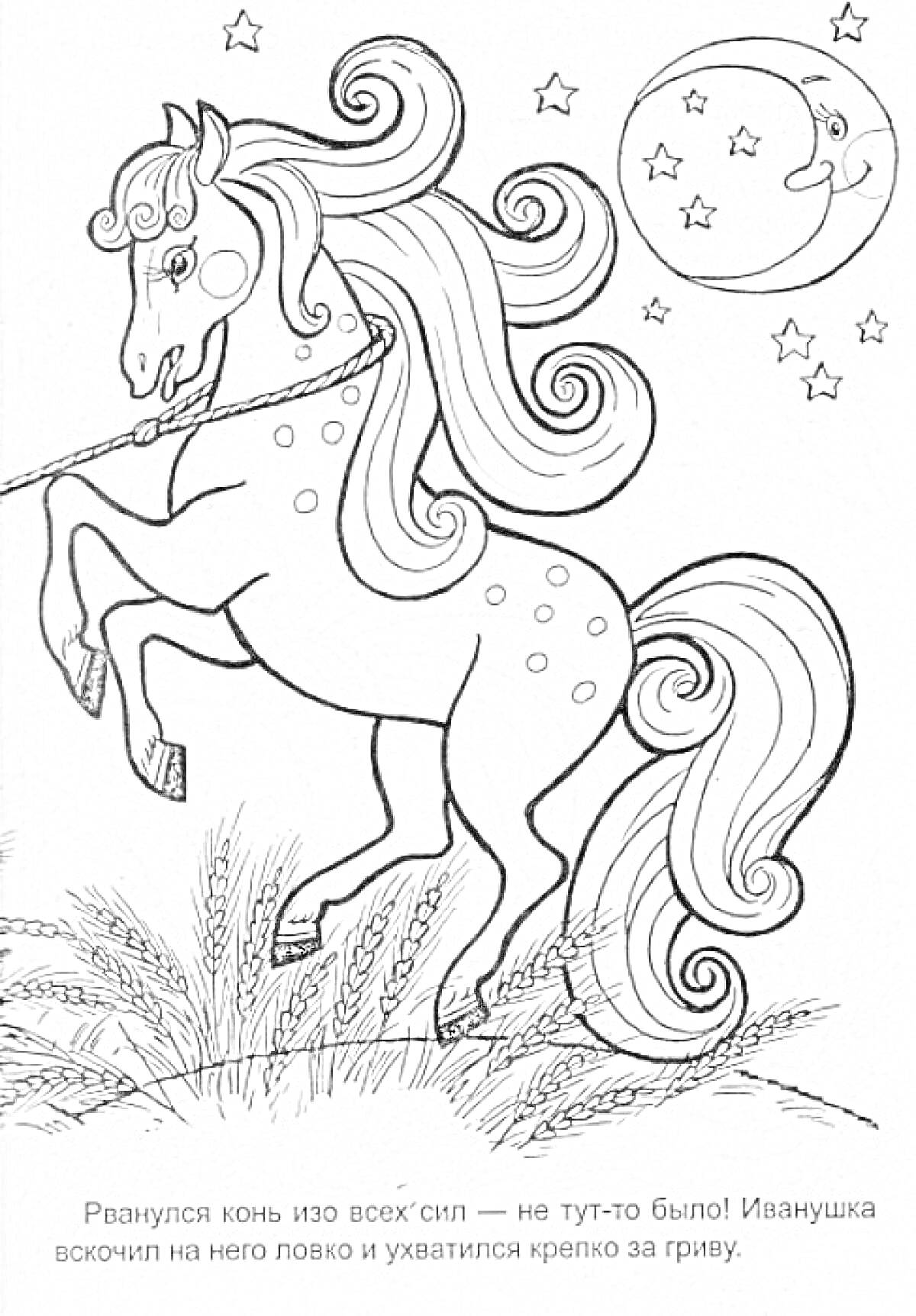 Раскраска Сказочный конь под луной: конь, звезды, луна, трава