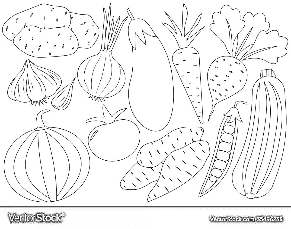Раскраска Картофель, баклажан, морковь, лук, чеснок, помидор, горошек, свекла, огурец, тыква