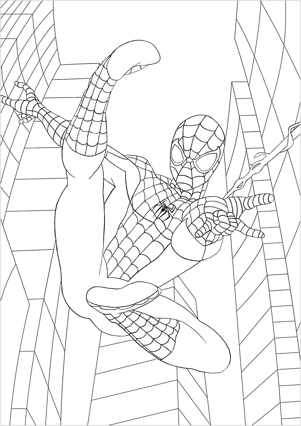 На раскраске изображено: Человек-паук, Питер Паркер, Паутина, Высотки, Здания, Комиксы