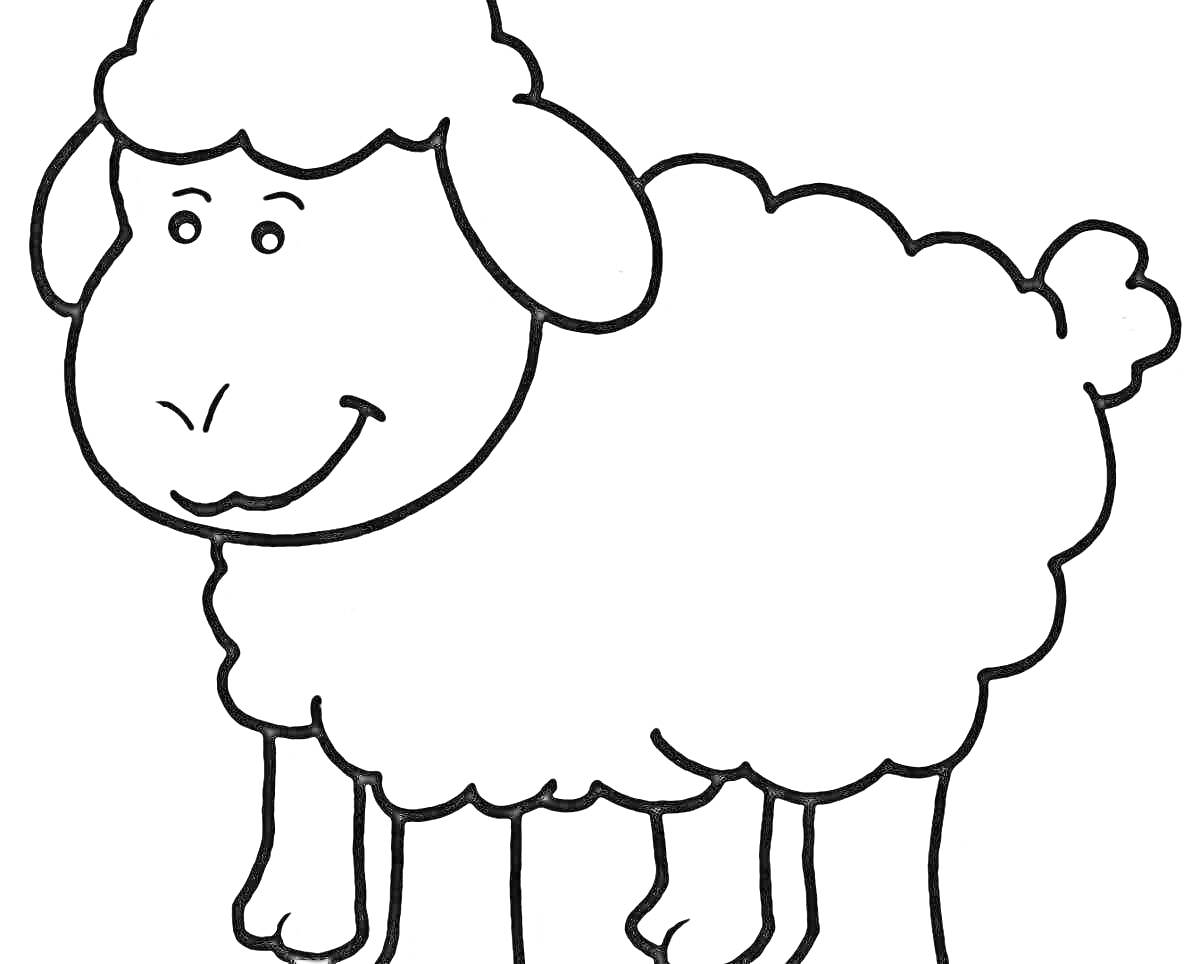 Раскраска Улыбающаяся овечка с кудрявой шерстью