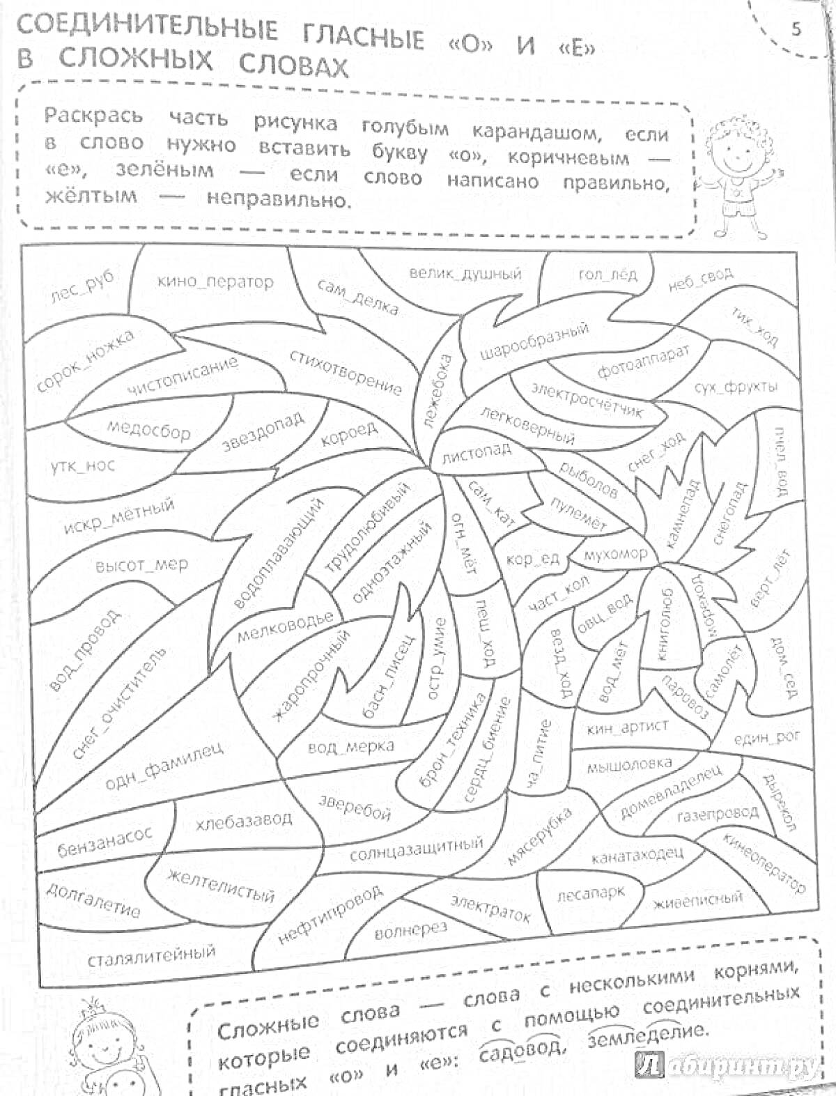 На раскраске изображено: Орфография, Сложные слова, Школьная программа, Упражнения, 6 класс