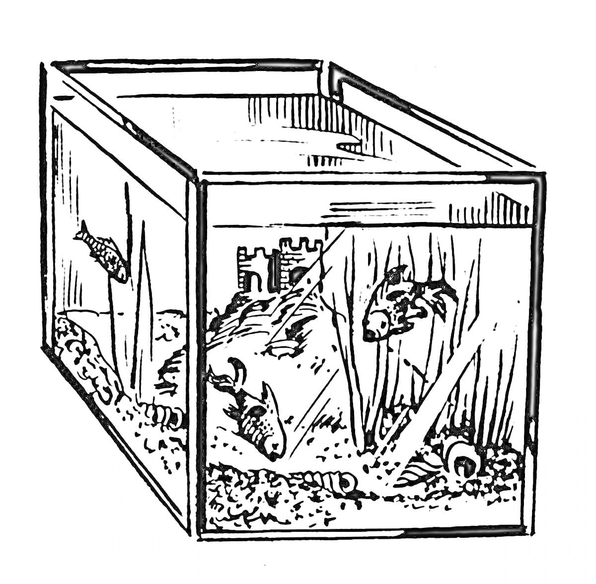 Раскраска Аквариум с рыбками, растениями, замком и камнями