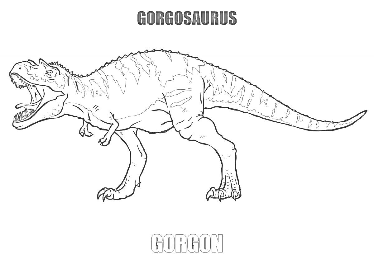 Раскраска Gorgosaurus Gorgon - динозавр