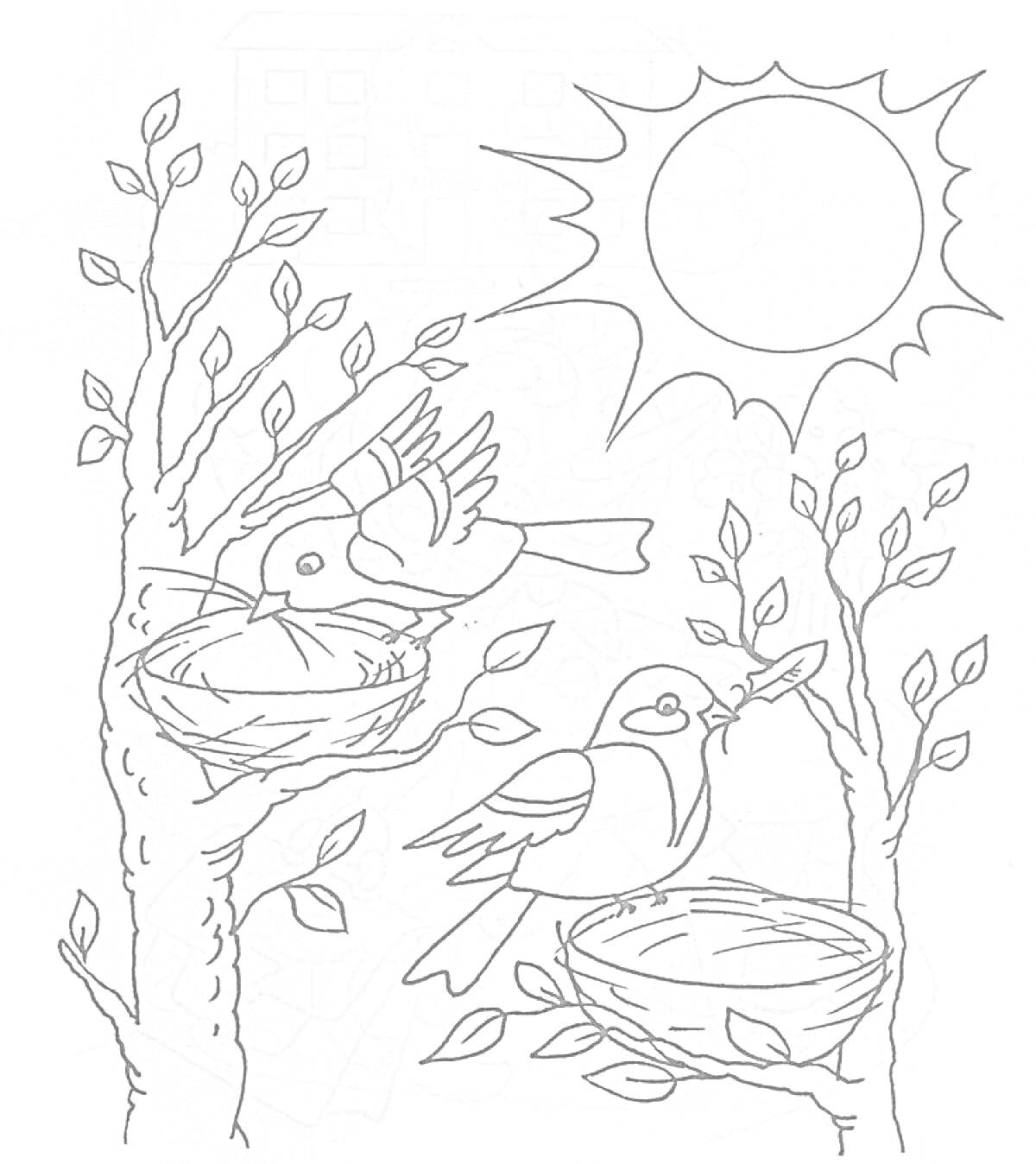 На раскраске изображено: Гнездо, Солнце, Листья, Природа, Весна, Птица, Деревья