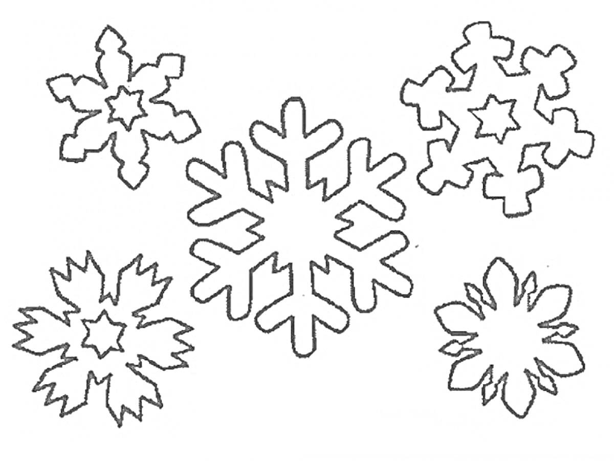 Раскраска Пять разных снежинок с разнообразными узорами