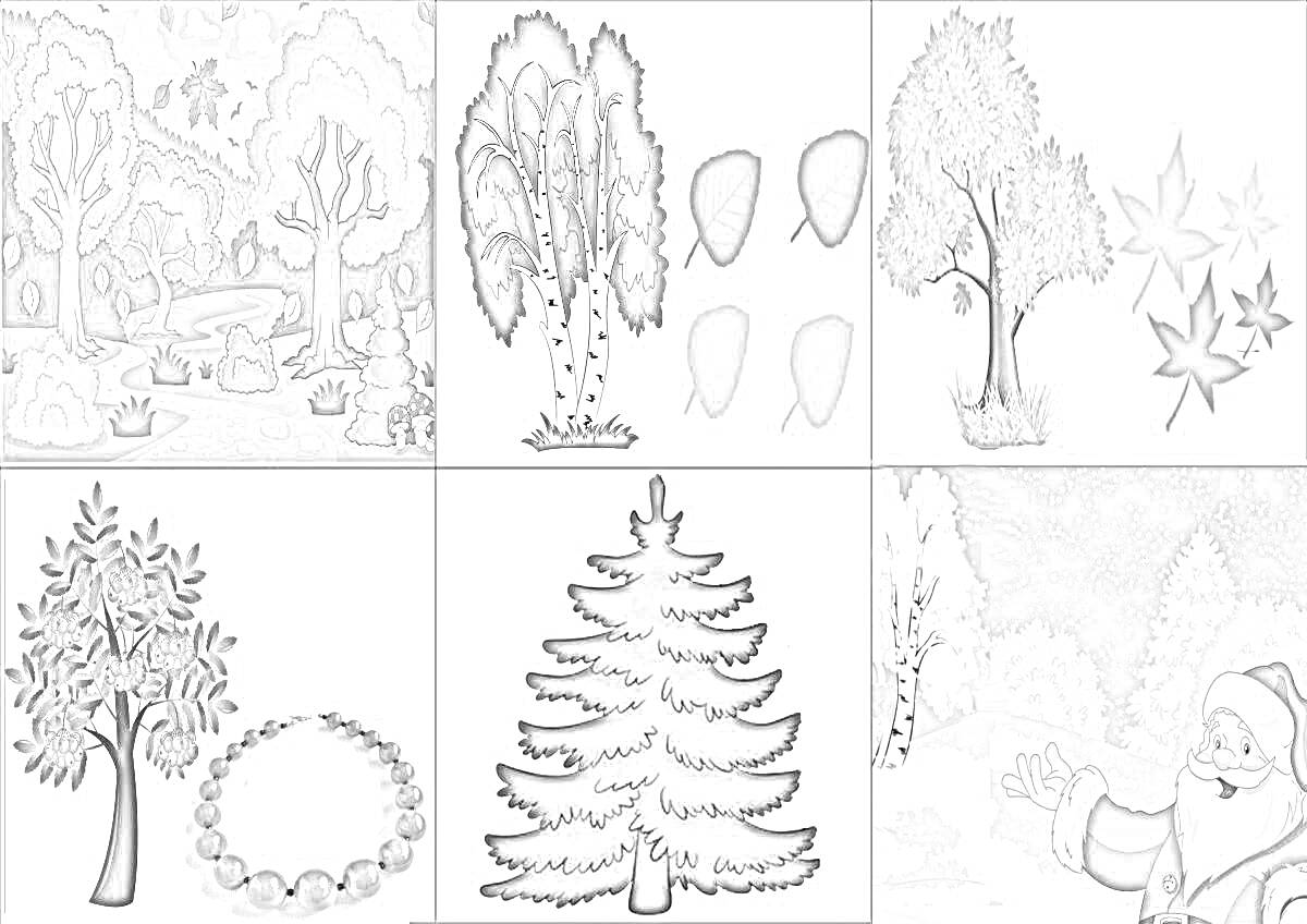 Раскраска Лесные пейзажи по сезонам, дерево с листьями и отдельными листьями, разноцветные листья, дерево с венком, елка, Дед Мороз и снег
