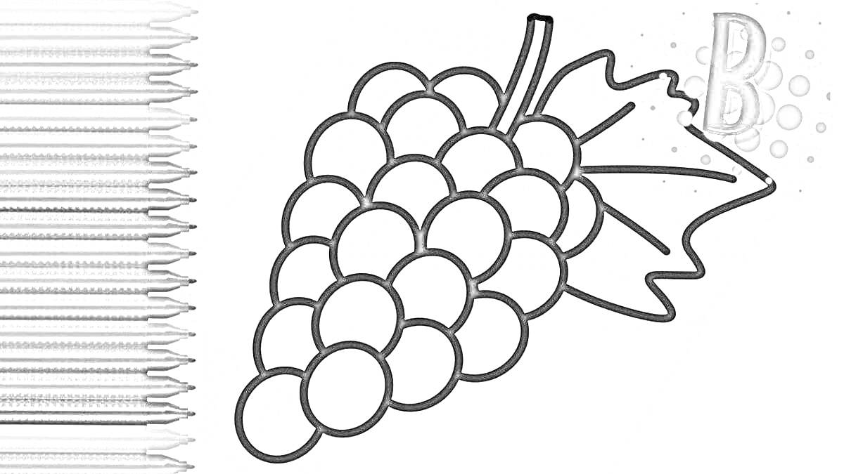 На раскраске изображено: Виноград, Буква b, Цветные карандаши, Маркеры, Листья