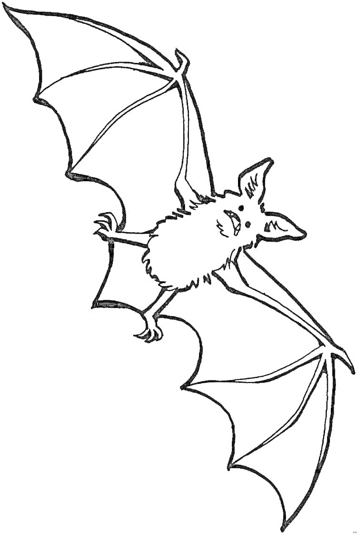 На раскраске изображено: Летучая мышь, Крылья, Ночь, Полет
