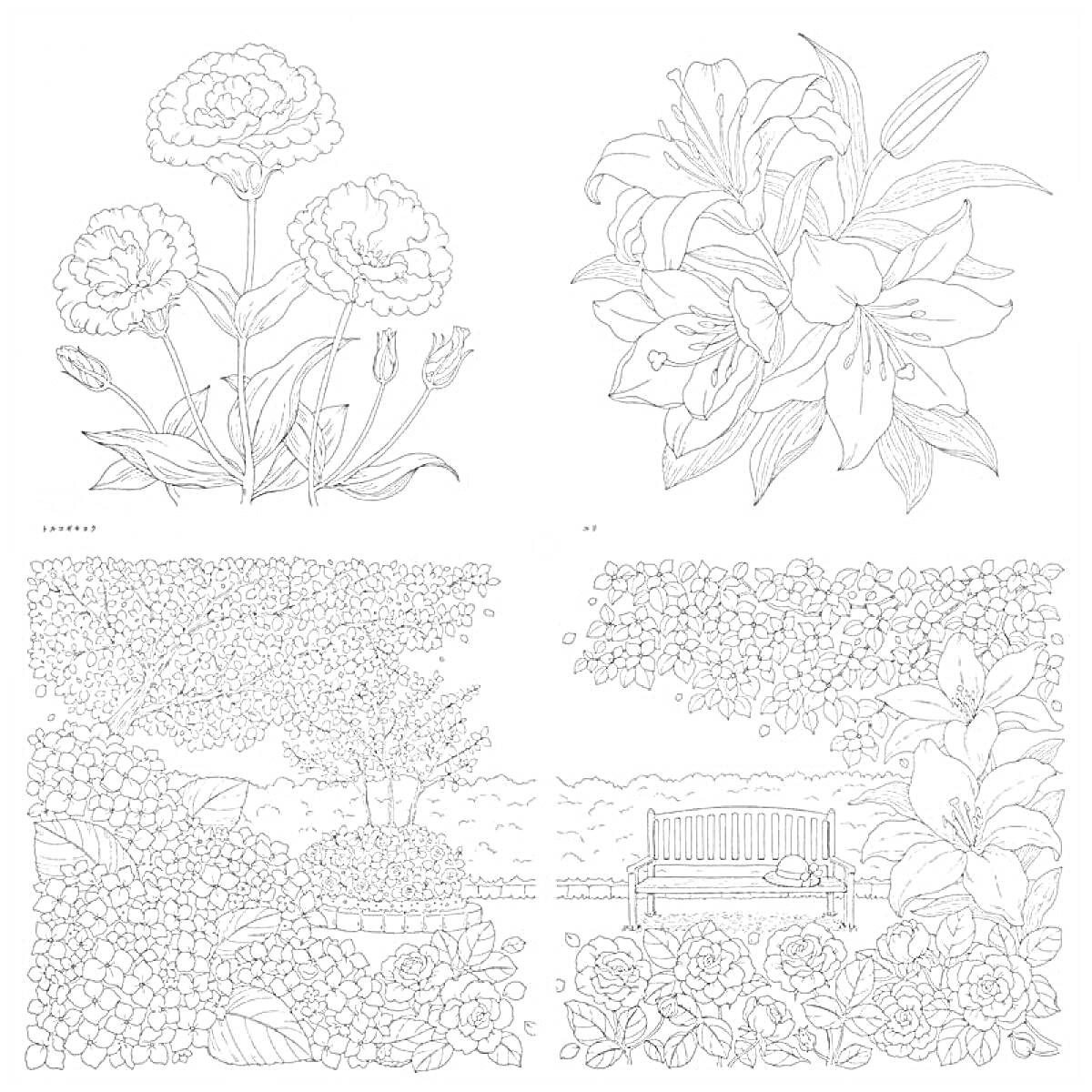 Раскраска Цветы и садовая скамейка (гвоздики, лилии, кусты, деревья, скамейка)