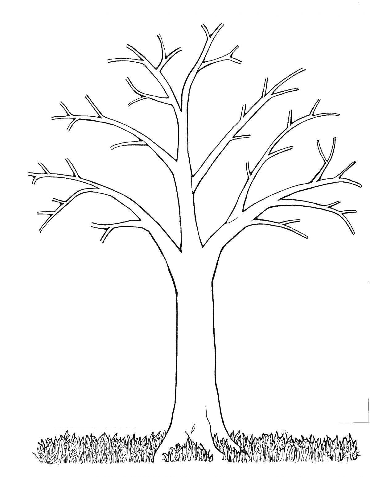 Раскраска Дерево без листьев с травой у основания