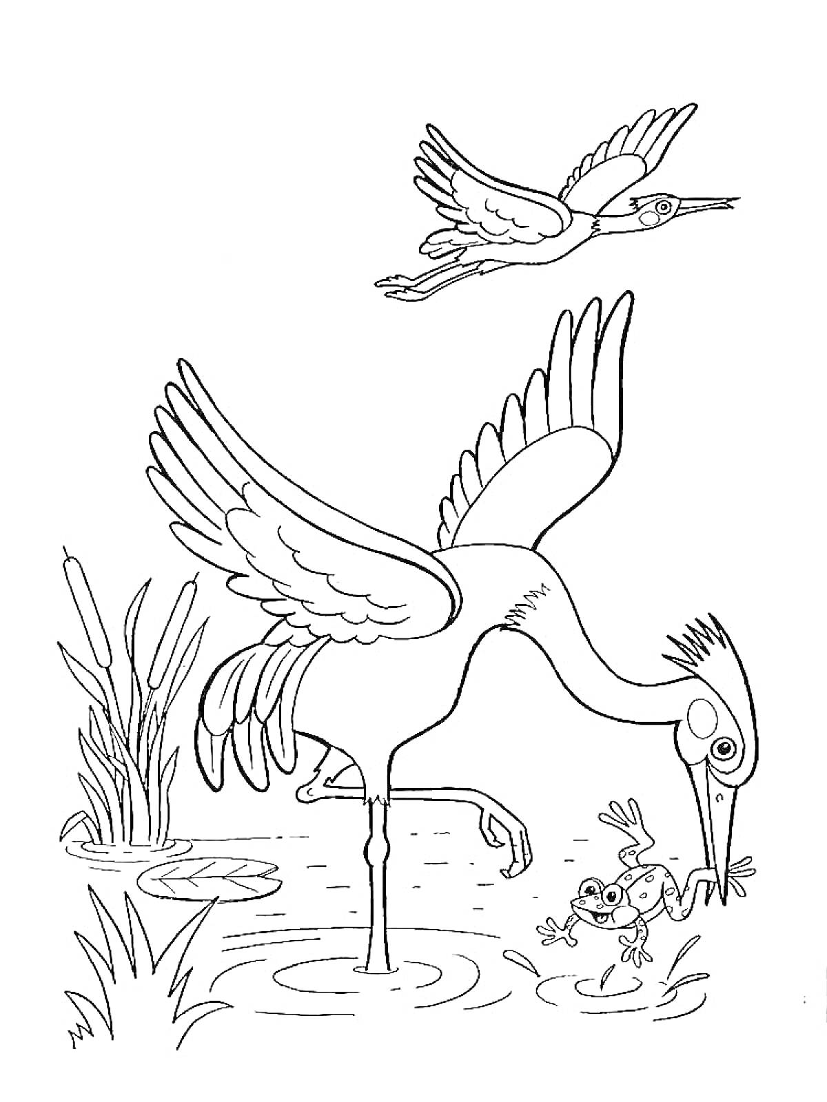 На раскраске изображено: Цапля, Водоем, Растительность, Птица, Лягушки