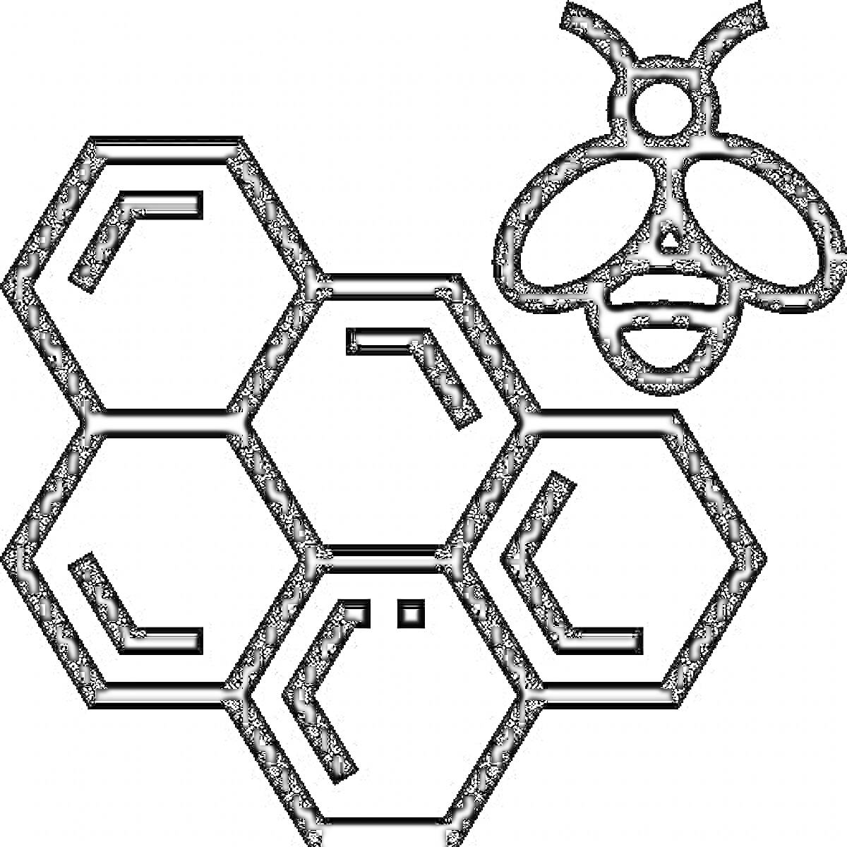 Раскраска с изображением сот и пчелы
