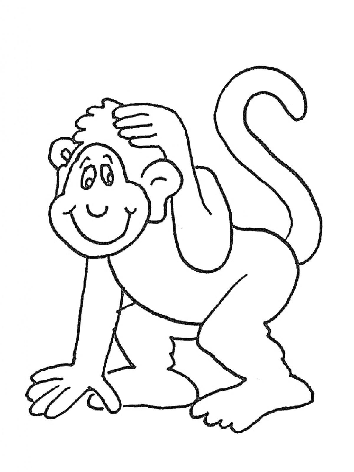 Раскраска Улыбающаяся обезьяна с рукой на голове