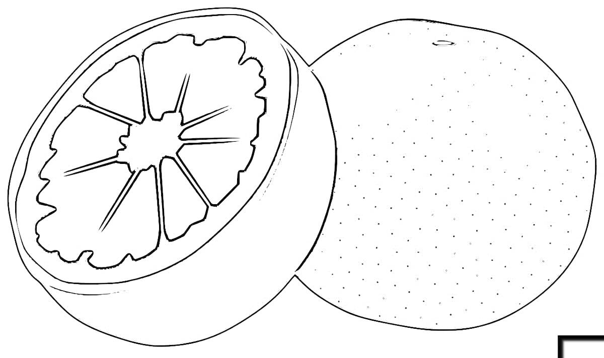 Раскраска Грейпфрут, целый и нарезанный пополам
