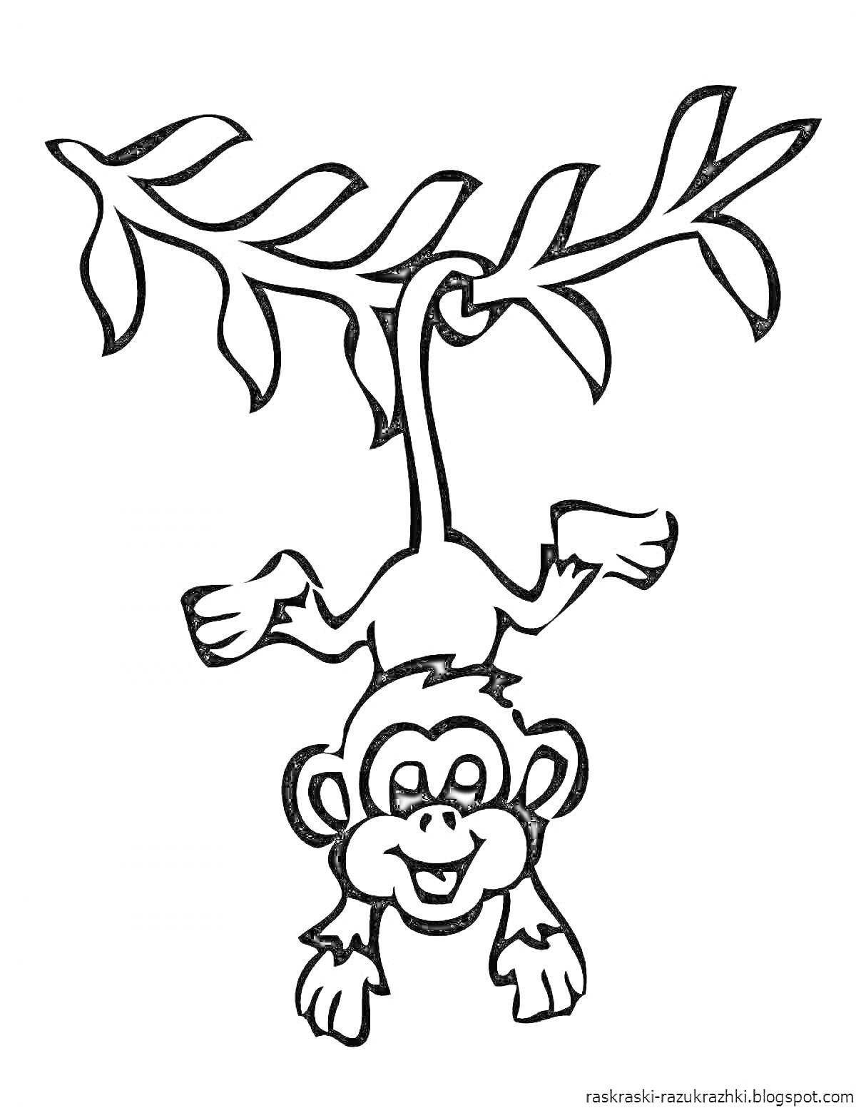 Раскраска Обезьянка, висящая на ветке дерева