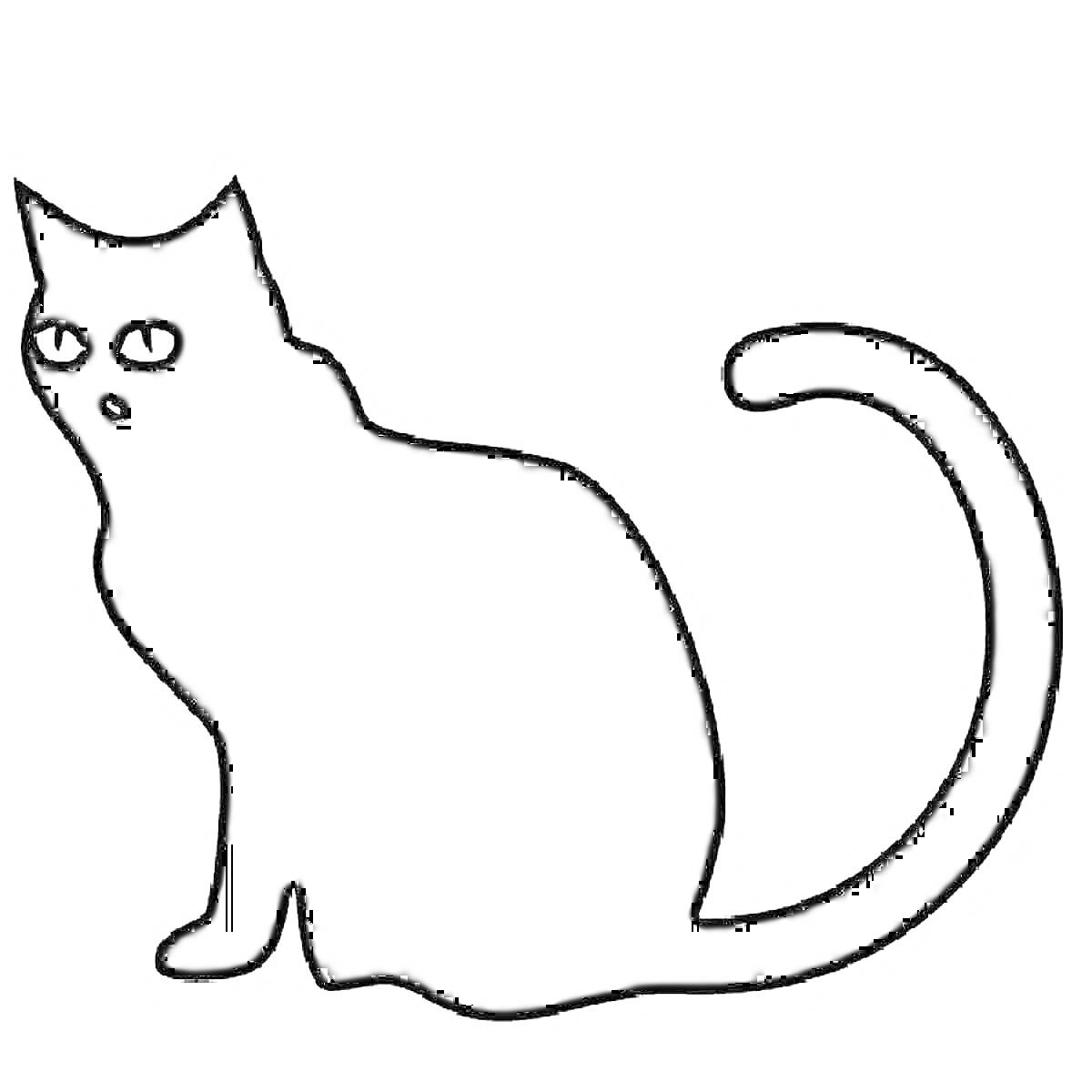 Раскраска Черный кот сидит и смотрит с поднятым хвостом