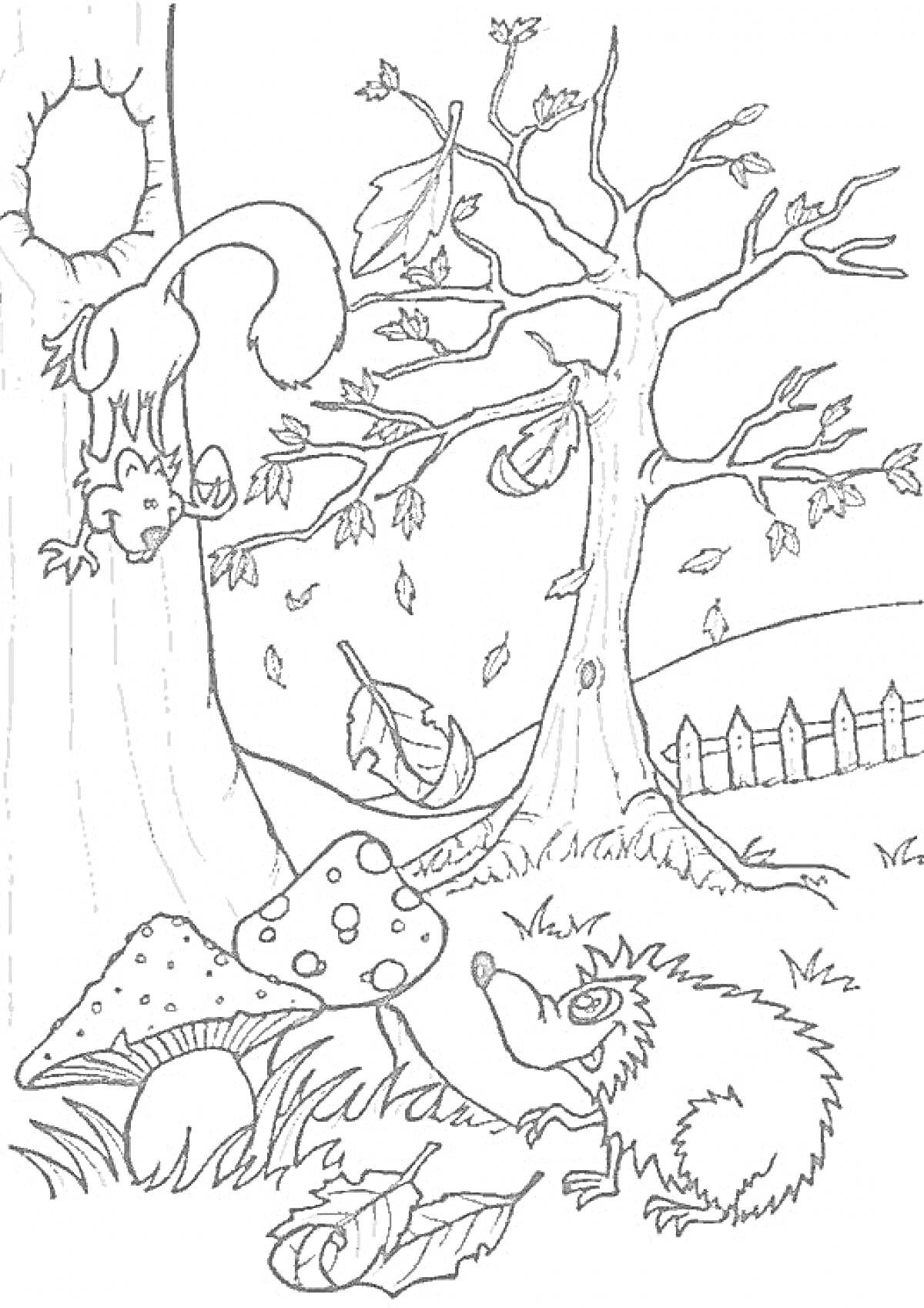 Раскраска Белка на дереве, падающие листья, ежик, забор, грибы