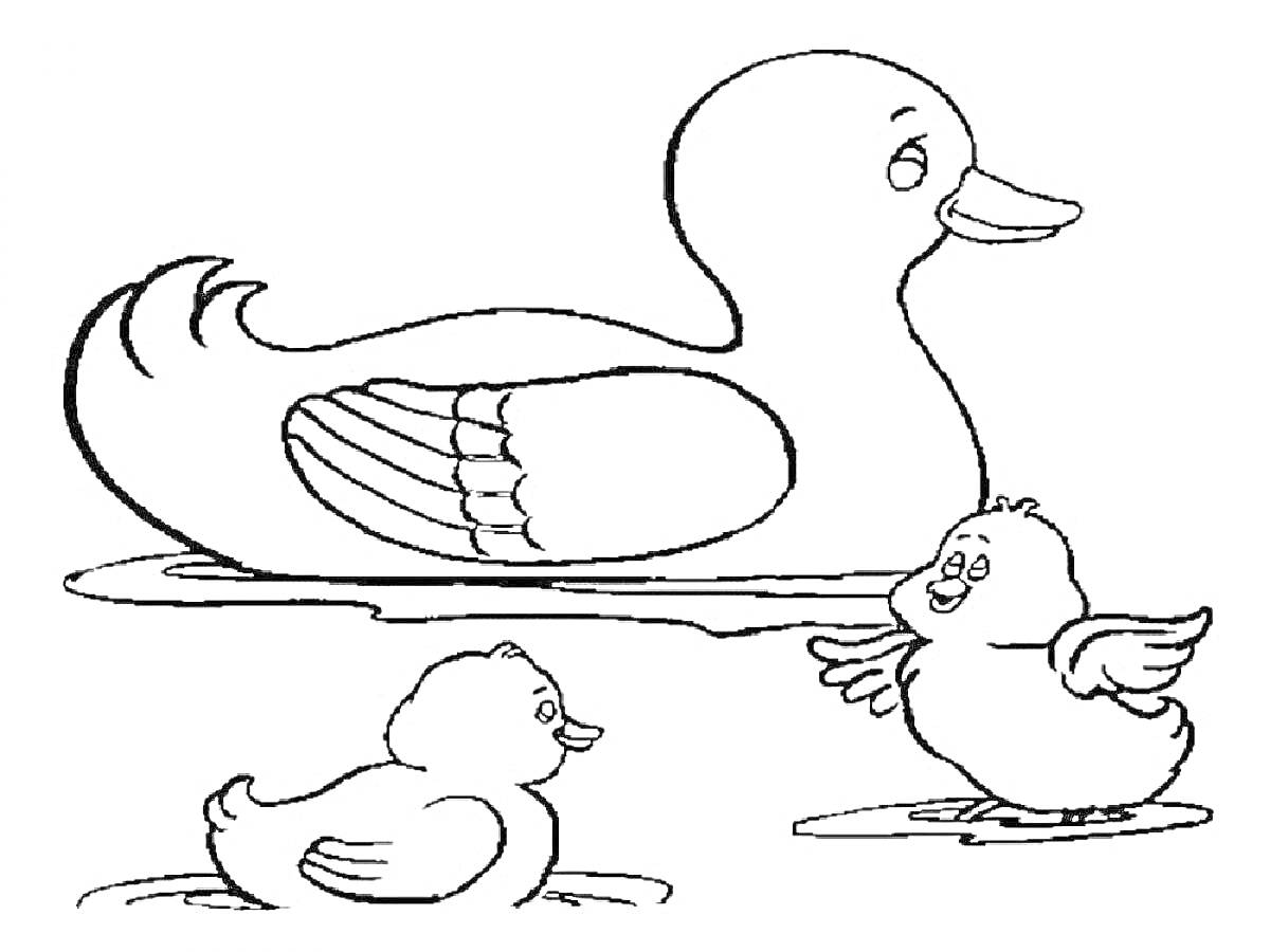 На раскраске изображено: Утка, Вода, Плавание, Семья, Для детей, Птица, Птенец