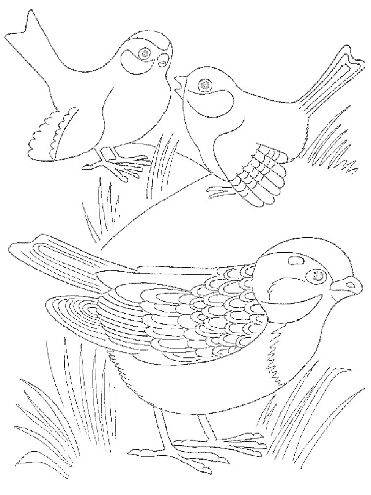 Раскраска Три птицы, сидящие на траве