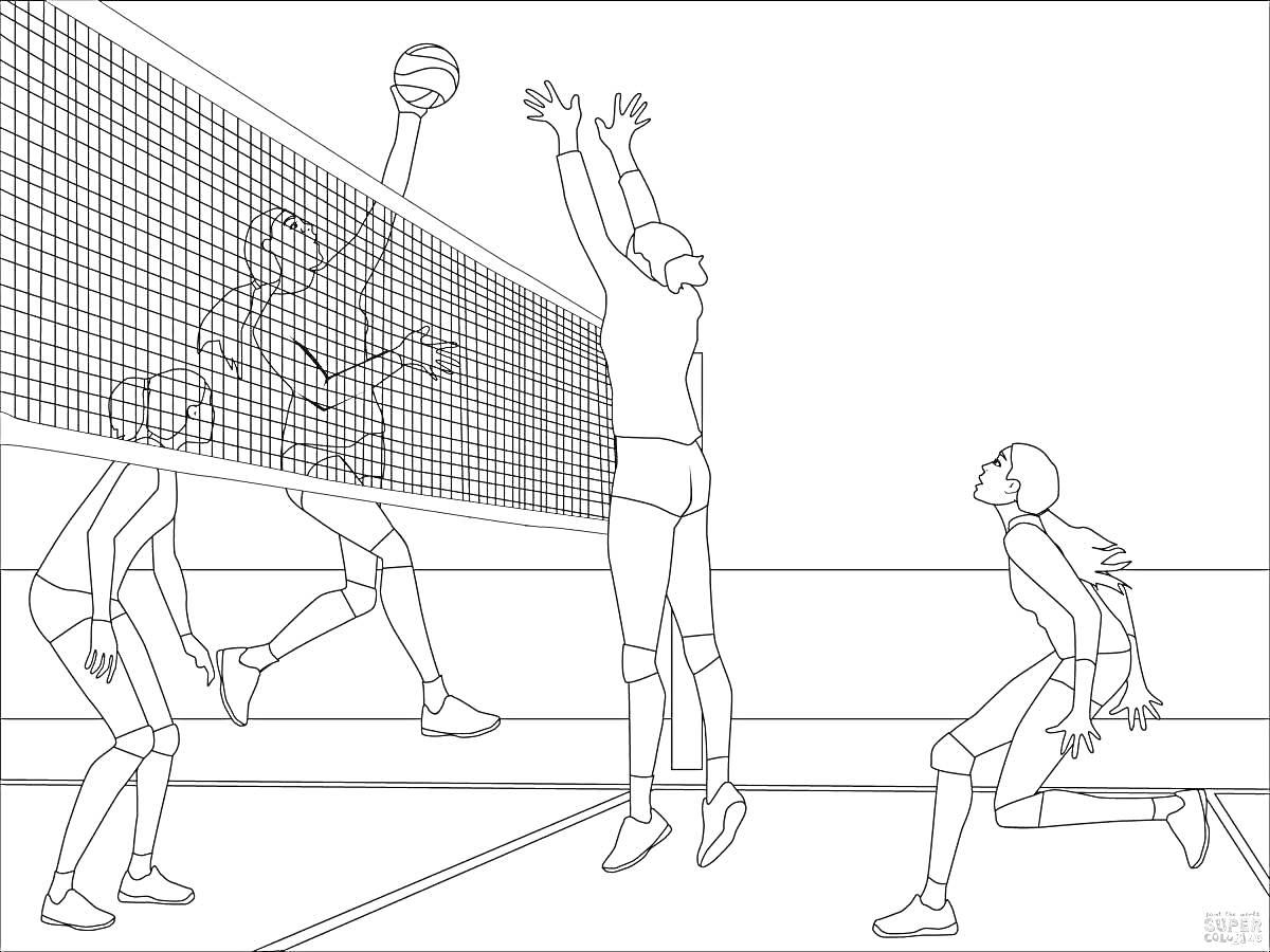 Раскраска Волейболисты в спортивном зале возле сетки