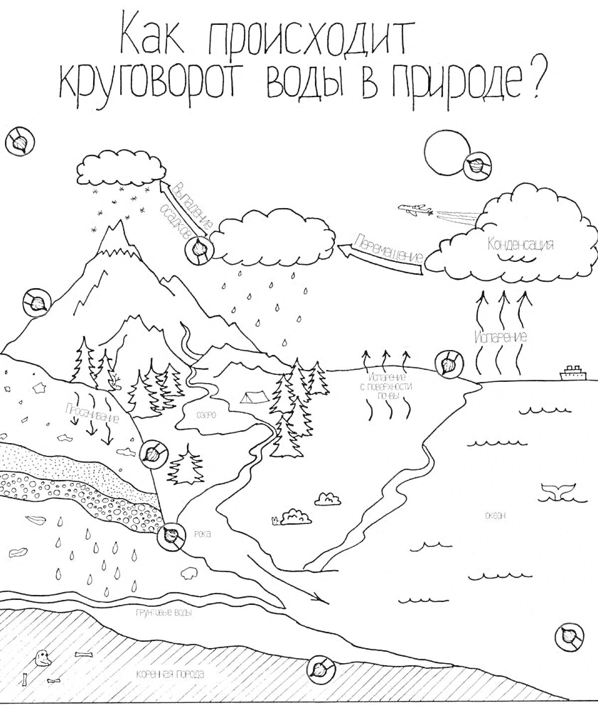 На раскраске изображено: Круговорот воды, Облака, Дождь, Испарение, Горы, Деревья, Лес, Река, Озеро, Природа, Животные, Вода