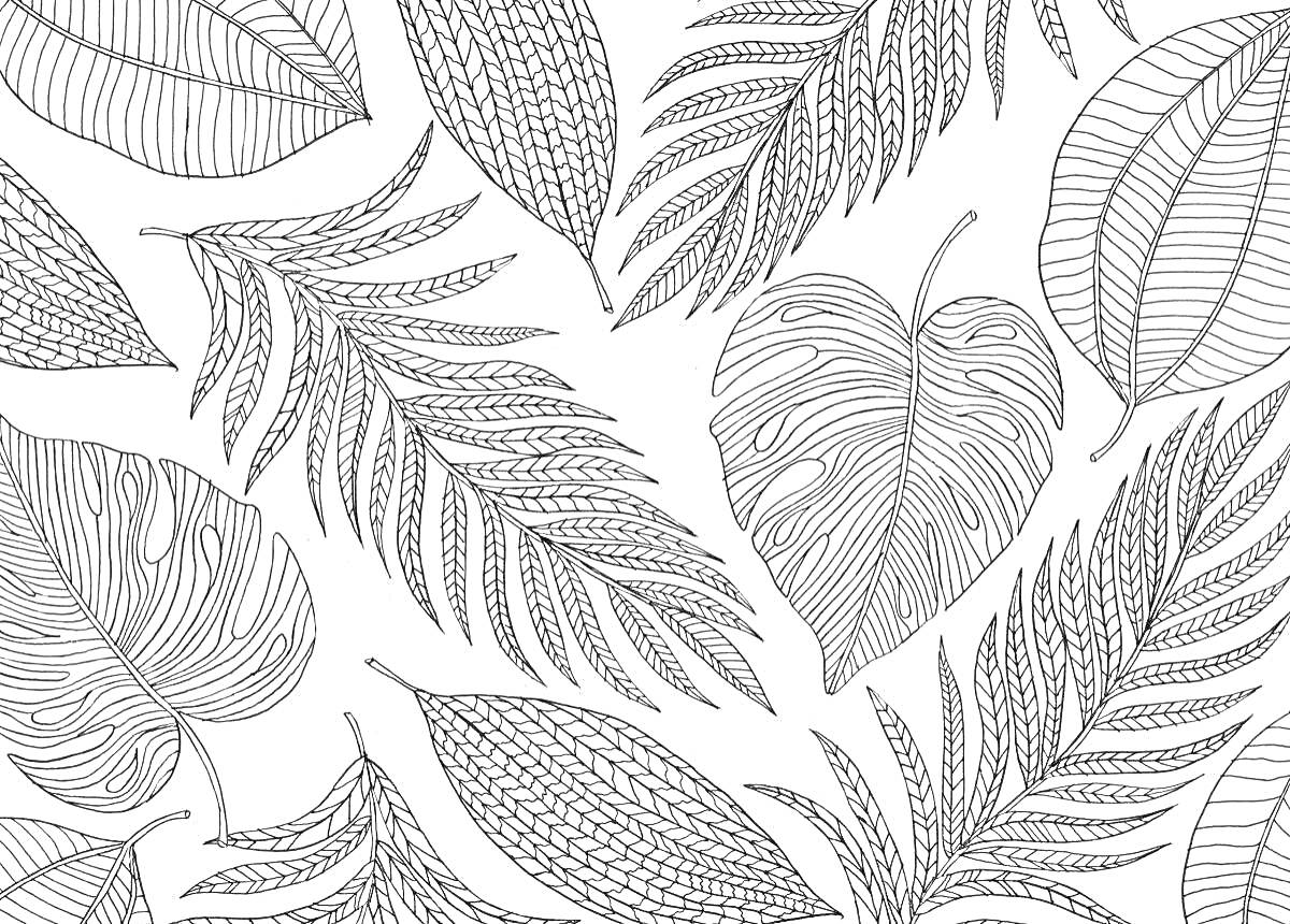 Раскраска Узоры из листьев различных форм и размеров
