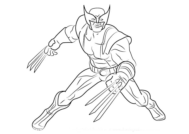 Раскраска Росомаха в боевой позе с когтями на обоих руках