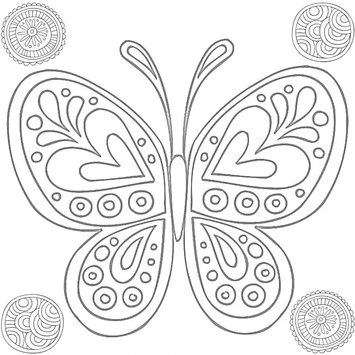 Раскраска Бабочка с узорами и круглыми орнаментами