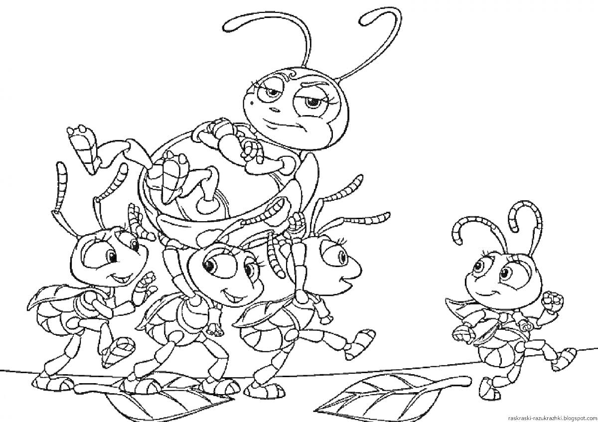 Раскраска Муравьи, несущие большого муравья, листья