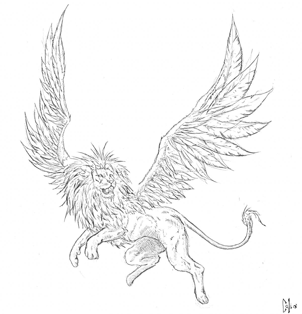 Раскраска Летающий тигр с крыльями расправленными в полете