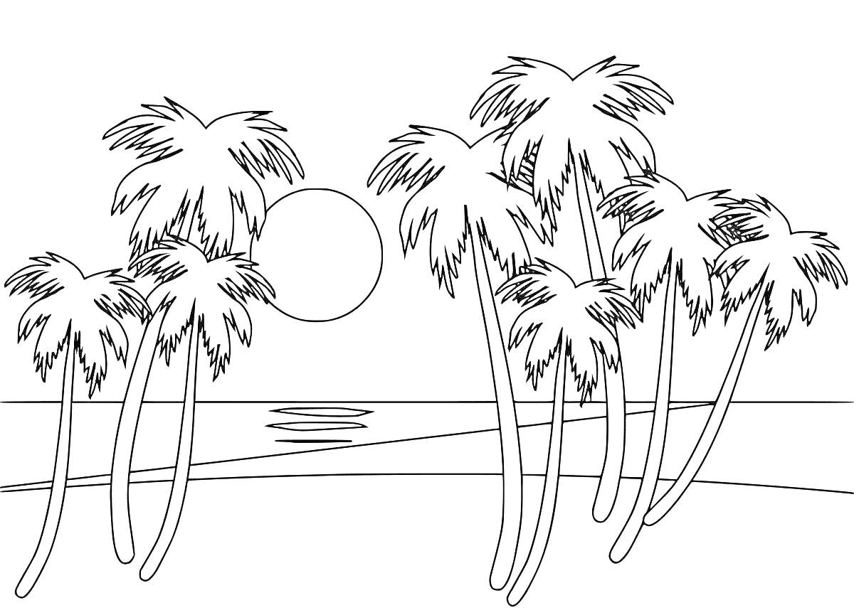 Раскраска Пальмы на берегу моря с солнцем на фоне
