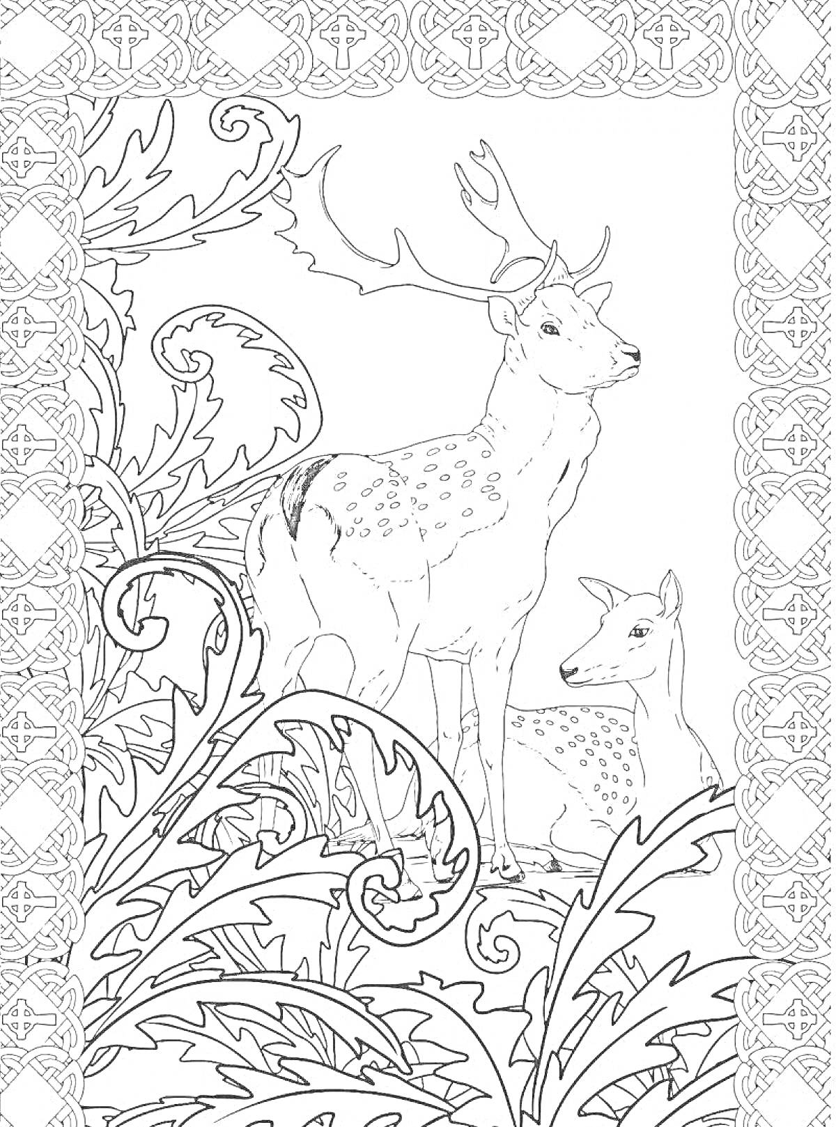 Раскраска Заколдованный лес с оленями, растениями и орнаментальной рамкой