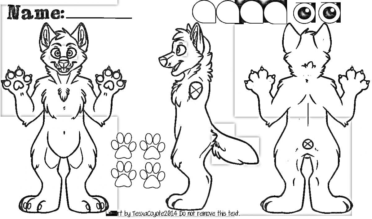 Раскраска Фурсьют волка - вид спереди, сбоку и сзади, с примерами цветов, вариантов глаз и лап