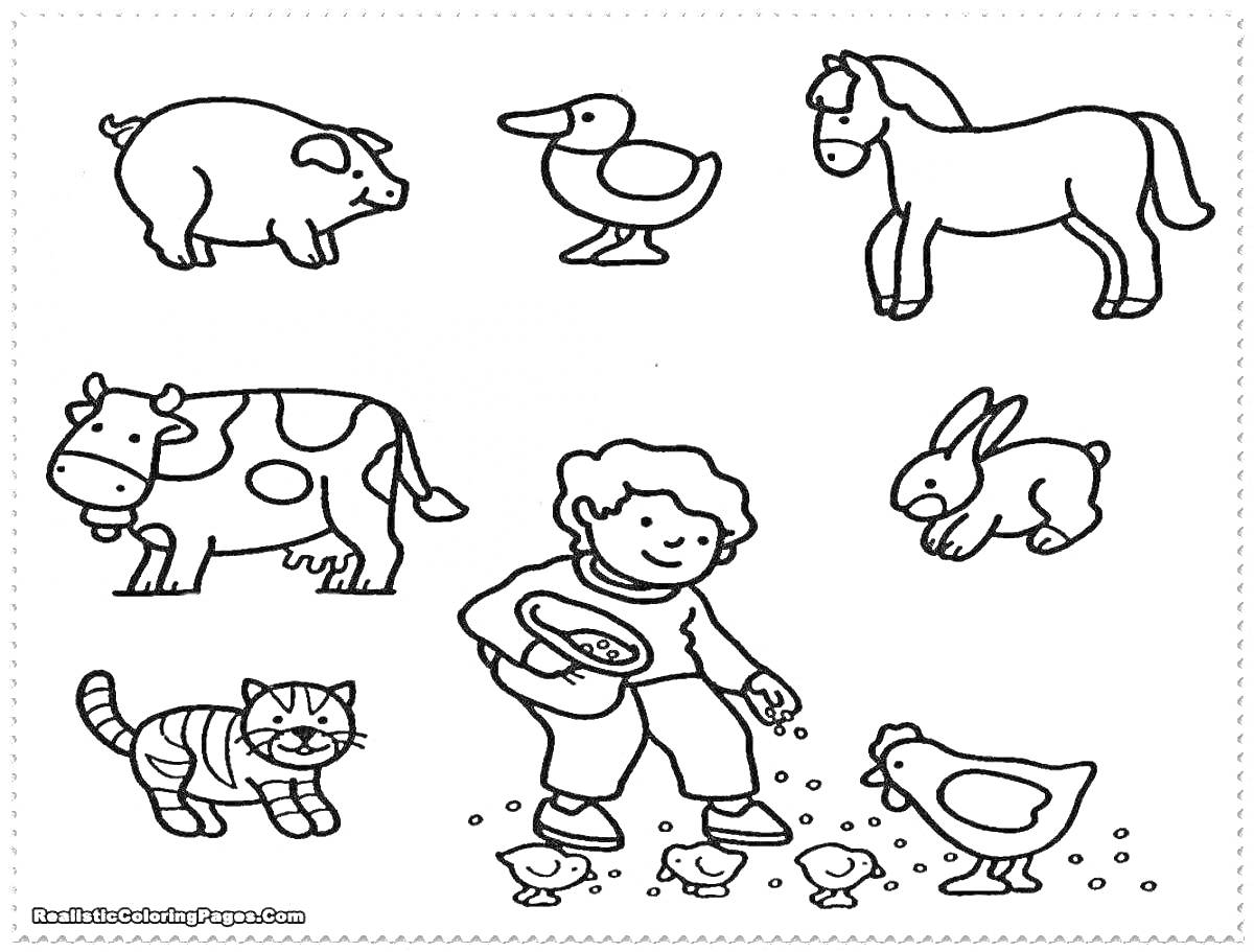 Раскраска Ребенок кормит цыплят, дети 4-5 лет, утка, свинья, лошадь, корова, кролик, кошка