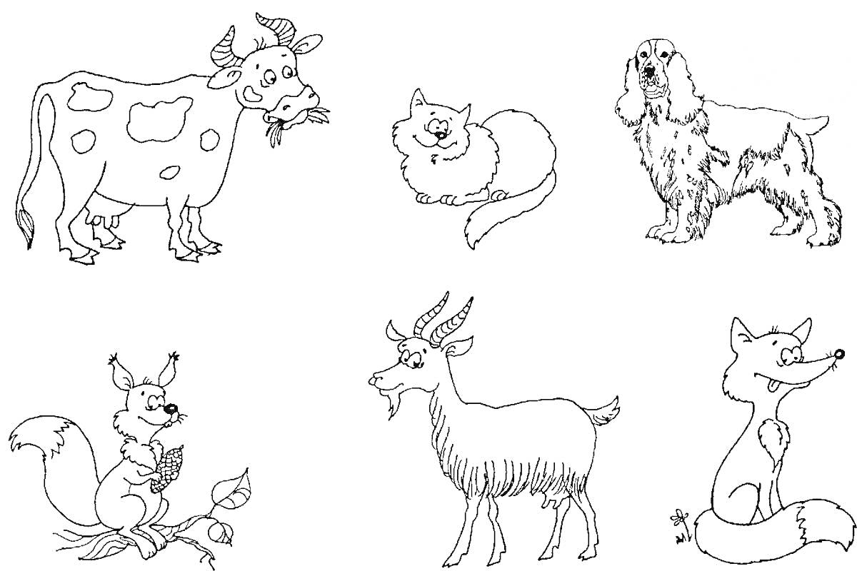 Раскраска корова, кот, собака, белка, коза, лиса