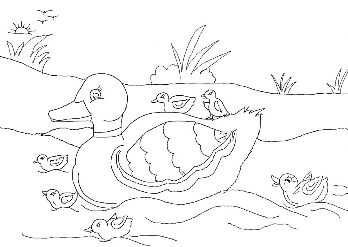 На раскраске изображено: Утка, Река, Трава, Облака, Природа, Вода, Животные