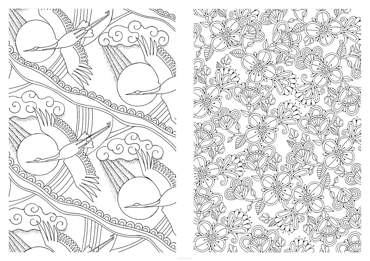 Раскраска Журавли на фоне солнца и облаков; Цветущий сад с многочисленными цветами