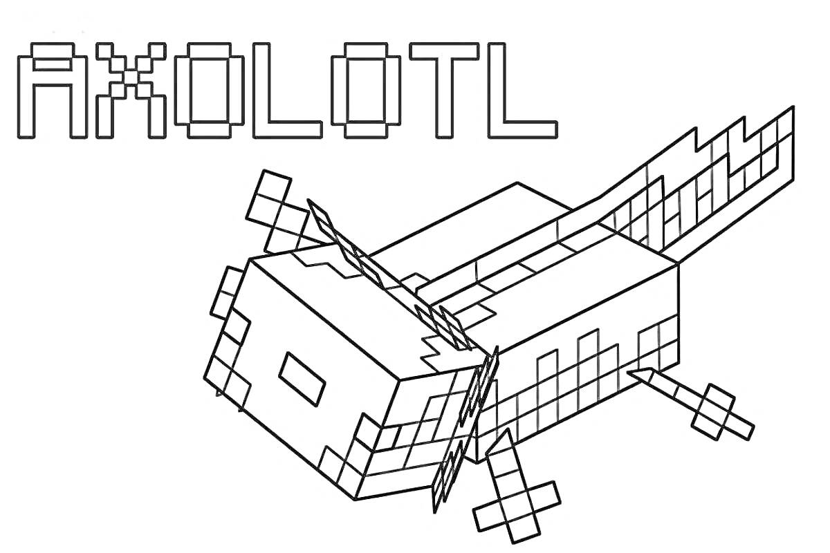 Раскраска аксолотль из майнкрафт с надписью AXOLOTL
