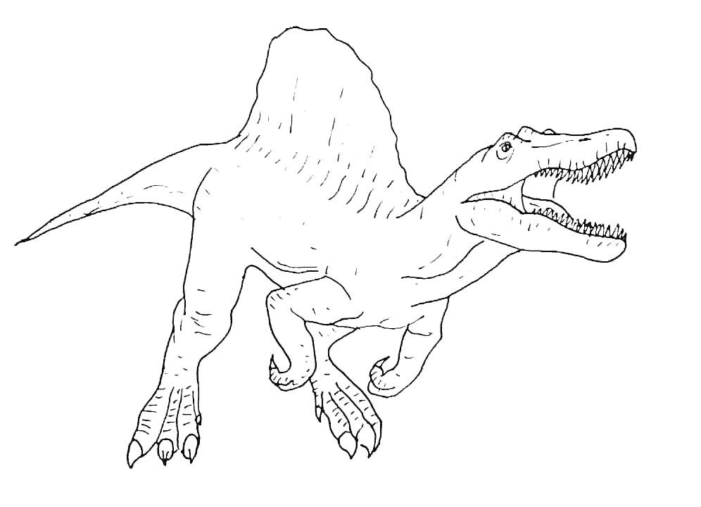 Раскраска Спинозавр с раскрытой пастью и поднятым туловищем