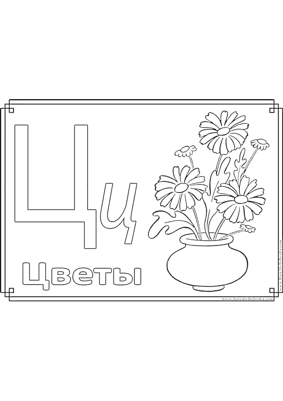 На раскраске изображено: Буква Ц, Алфавит, Цветы, Ваза, Первый класс, Обучение, Русский язык